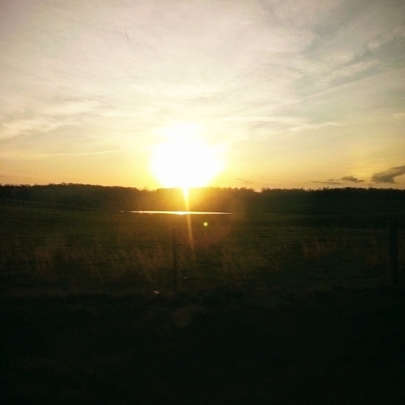 Nothing - Picture 6 of 10